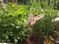 Mobile Preview: Gartenstecker Dekostecker Edelrost - Gartendeko Rost - Motiv Schmetterling Garten